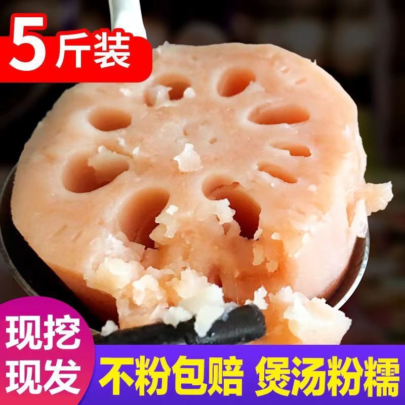 正宗洪湖粉藕莲藕煲汤藕新鲜现挖现发糯米藕炖汤九孔藕湖北红莲藕