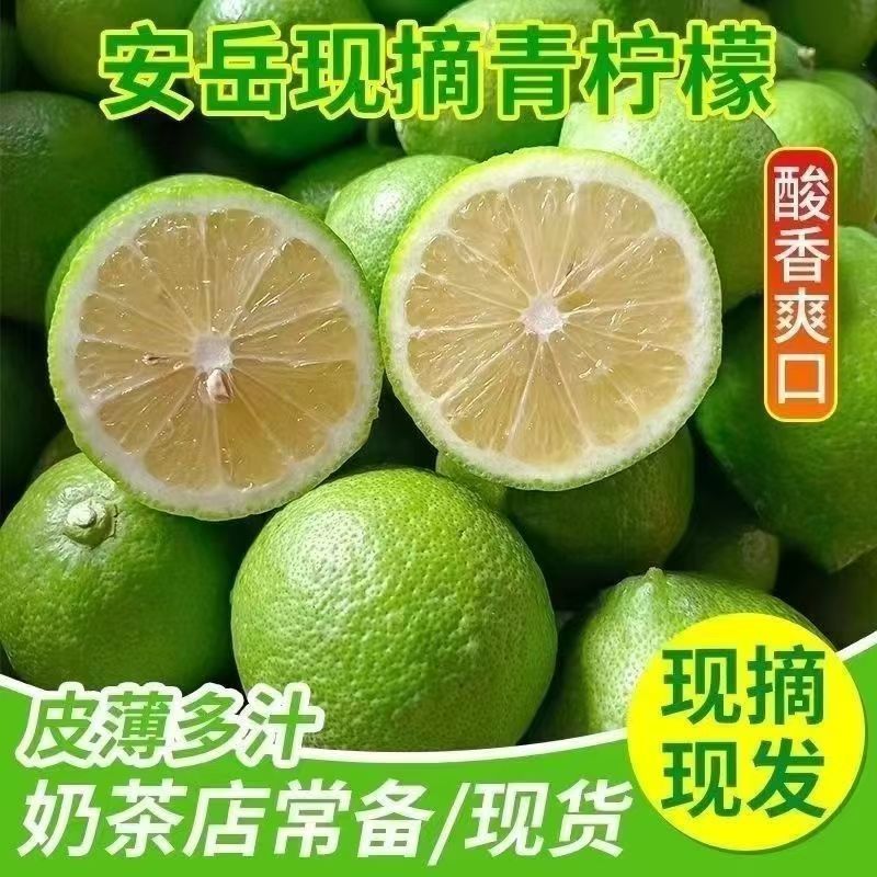 新鲜青柠檬有籽柠檬非香水青柠檬鲜果产地直发青柠檬新鲜安岳