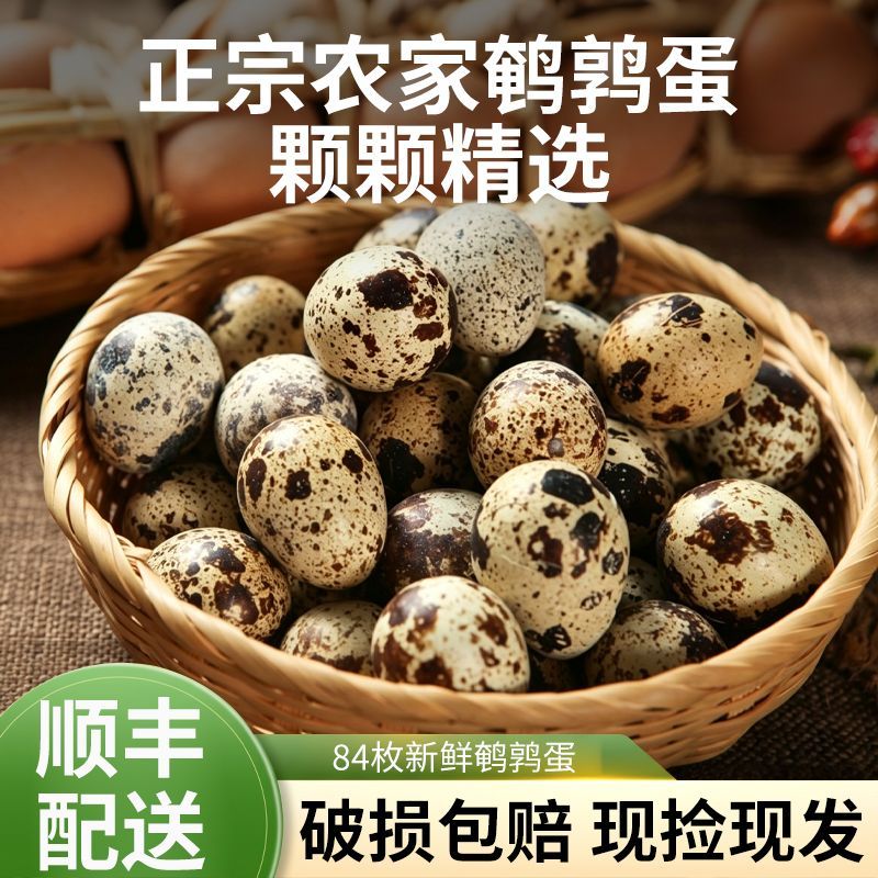 顺丰包邮84枚一整箱新鲜鹌鹑蛋农家正品生鲜大个散养商用杂粮喂养