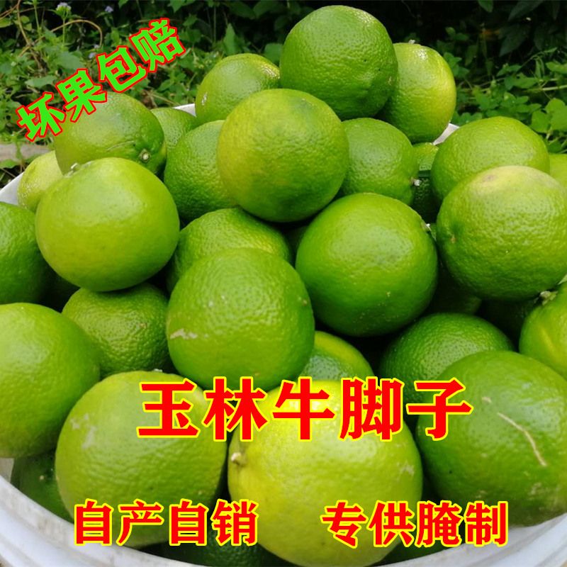 广西野生土柠檬南宁柠檬鸭牛角柑牛角子多籽柠檬腌制咸柠专用鲜果