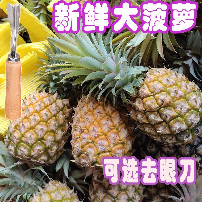 新鲜大菠萝徐闻广东新鲜菠萝香水大果现摘当季应季大个整箱水果