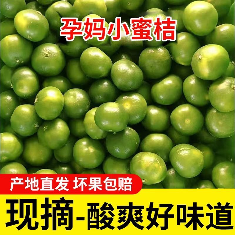 【青皮酸酸橘】5斤湖北青皮酸橘子当季新鲜孕妇水果无籽皮薄多汁