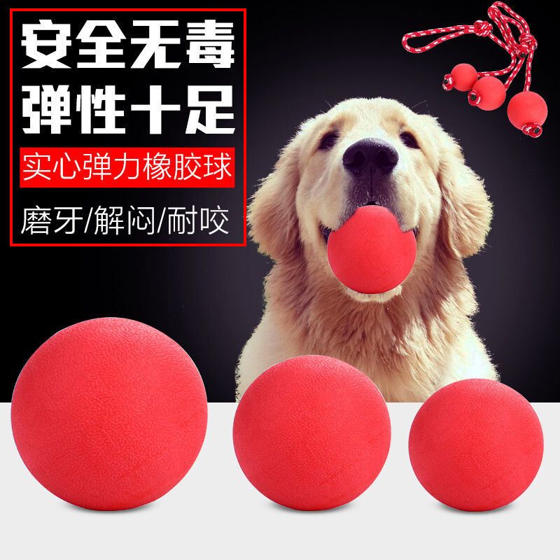 狗狗玩具耐咬橡胶弹力球逗狗实心球耐咬磨牙金毛泰迪宠物狗玩具球
