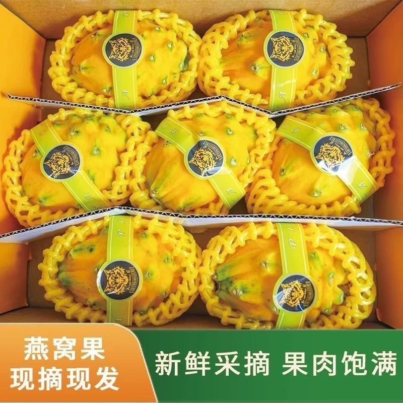 正宗燕窝新鲜麒麟热带黄皮罕见白心黄色火龙果水果整箱包邮