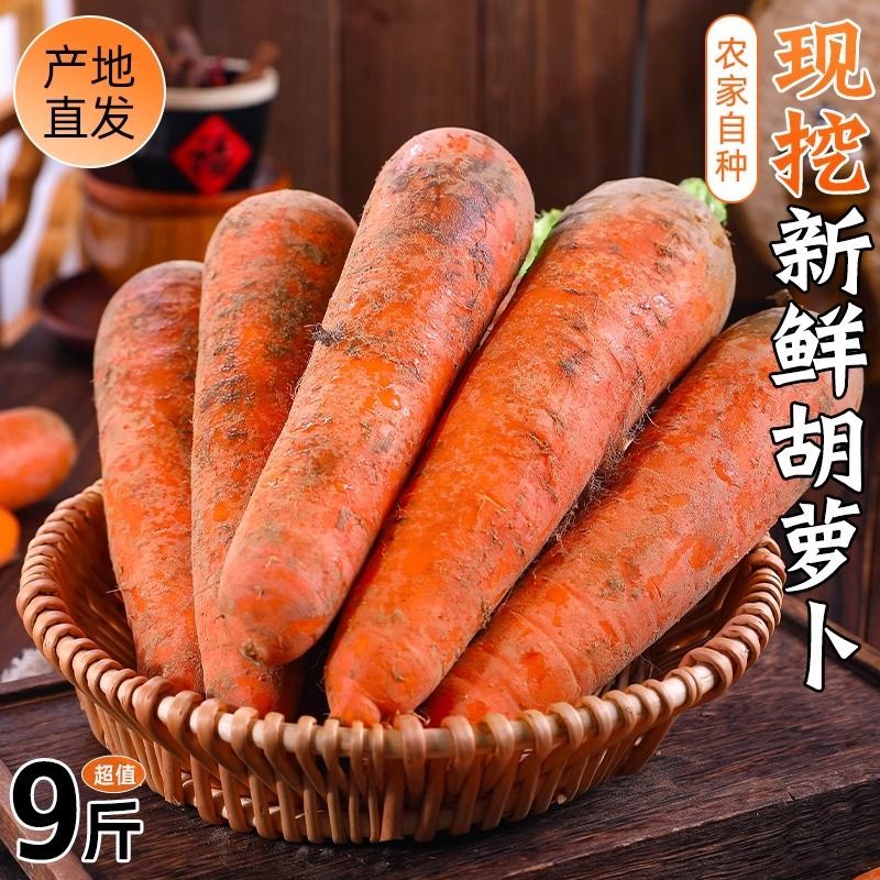 6.22-3/5/9斤【现挖现发】陕西沙地胡萝卜新鲜蔬菜脆甜大黄心萝卜