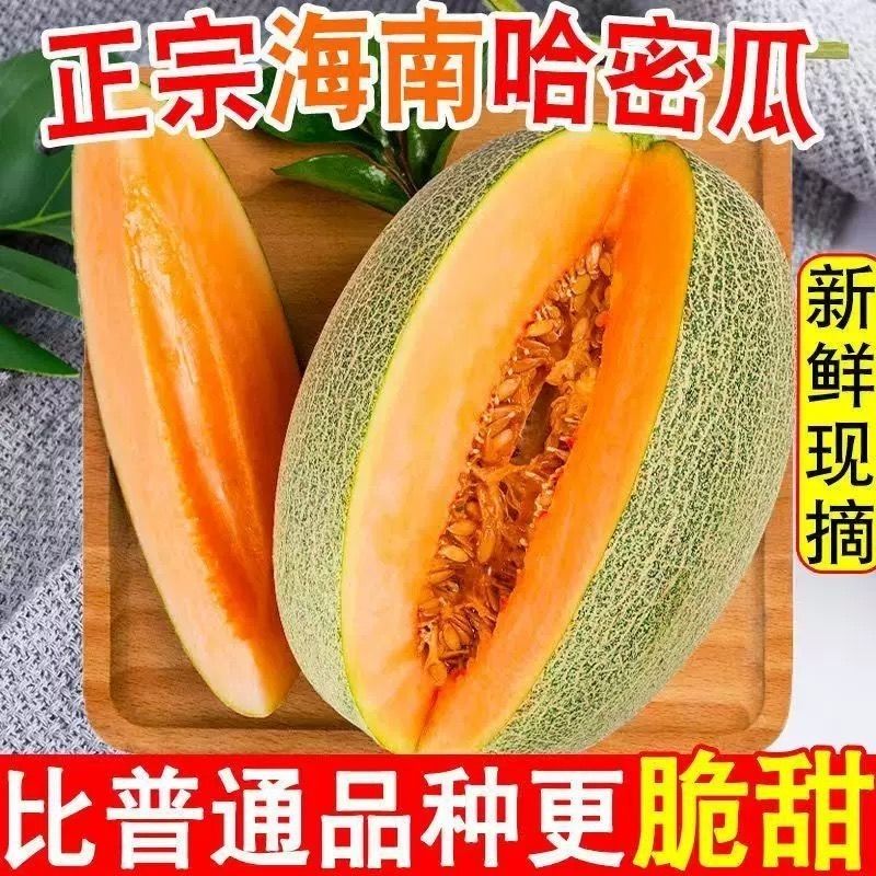 海南正宗哈密瓜甜瓜蜜晓蜜西州当季25新鲜应季水果脆甜整箱蜜瓜