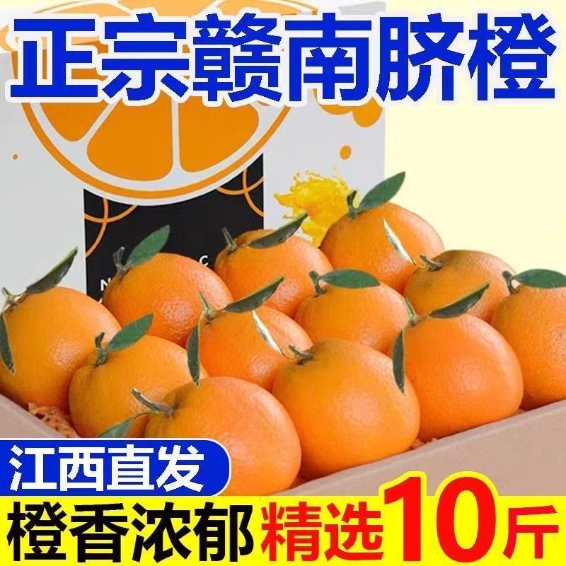 【源产地直发】正宗赣南脐橙江西赣州爆甜橙子应当季新鲜水果桔子【11月15日发完】