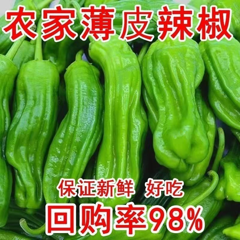 薄皮椒新鲜薄皮青椒微辣不辣芜湖菜椒农家菜椒苏北露天现摘虎皮椒