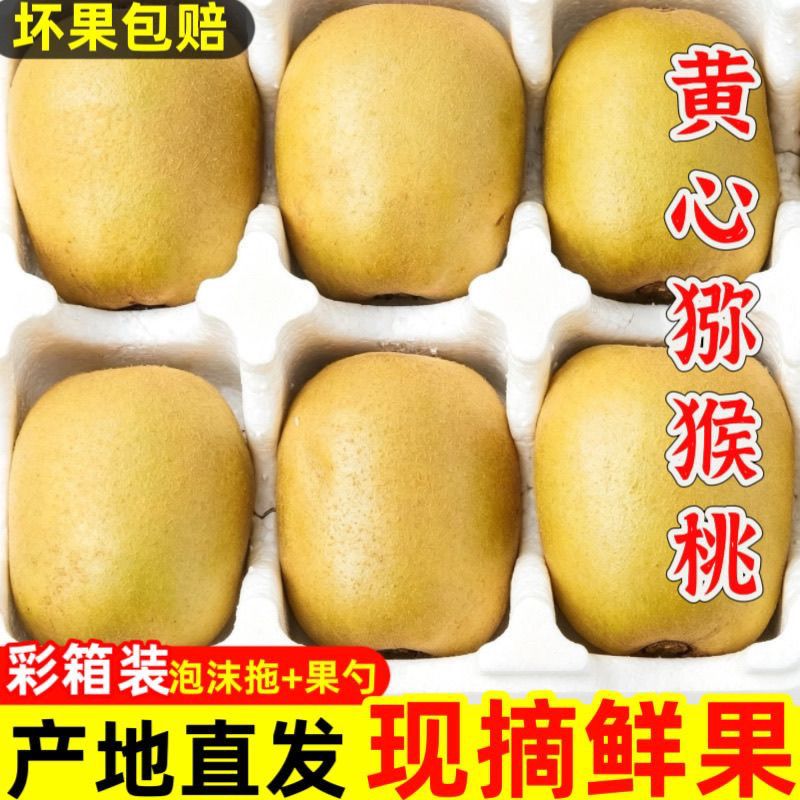 【5斤礼盒装】四川黄心猕猴桃奇异果新鲜孕妇水果当季应季