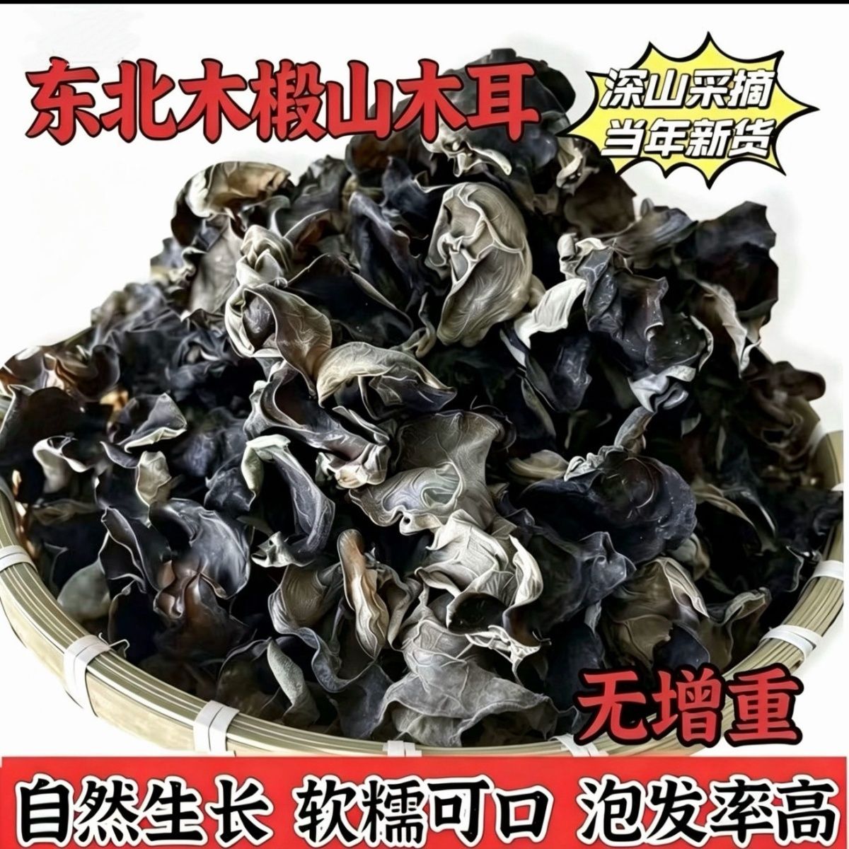 黑龙江木段山木耳东北特产新货无根软糯农家干货木段山木耳