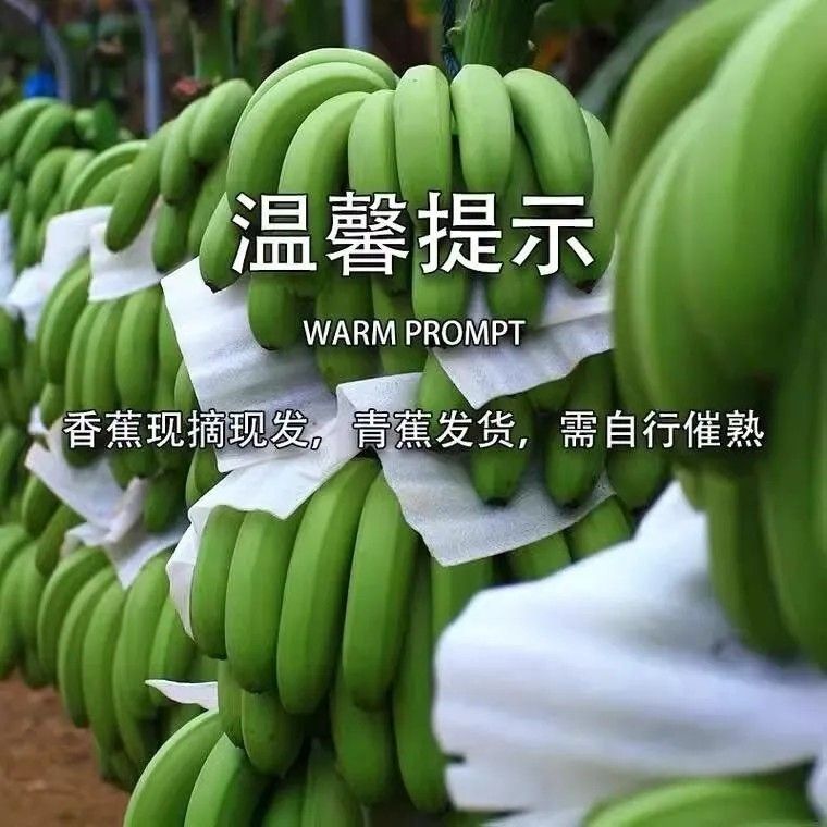 .现摘正宗应季云南高山香蕉当季新鲜薄皮水果整箱青皮批发
