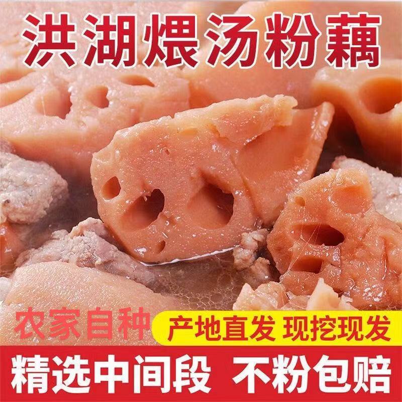 正宗洪湖去泥粉藕新鲜粉糯现挖特产九孔粉藕粉藕莲藕煲汤商用批发
