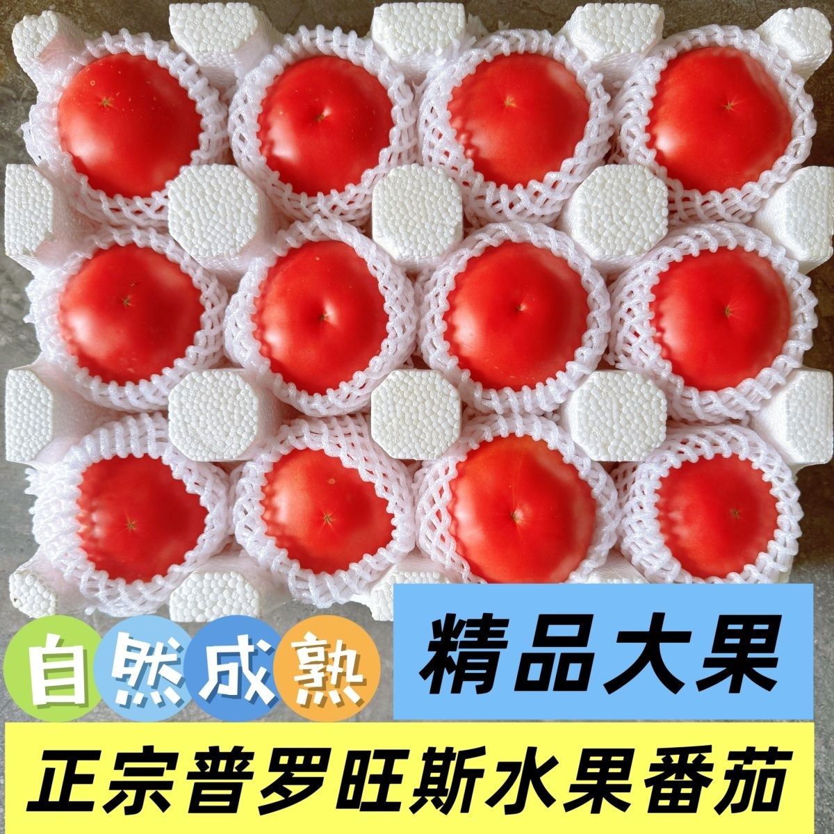 无农残普罗旺斯西红柿沙瓤水果番茄高山种植精品大果基地直发整箱