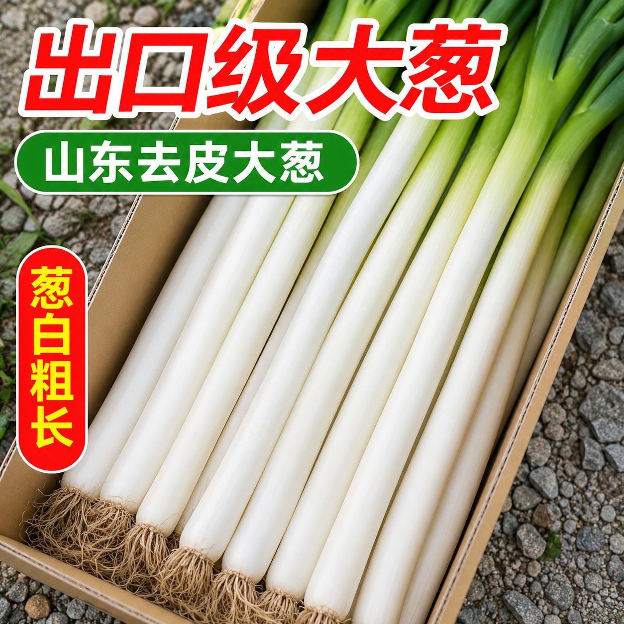 【出口级】去皮山东大葱新鲜长白葱农家批发现挖现发正宗铁杆便宜