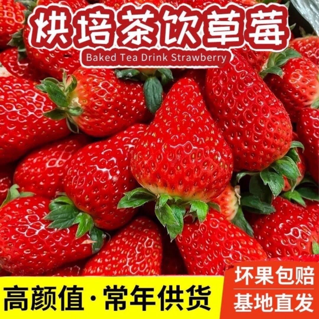 云南四季商用新鲜双流草莓蛋糕烘焙奶茶糖葫芦专用