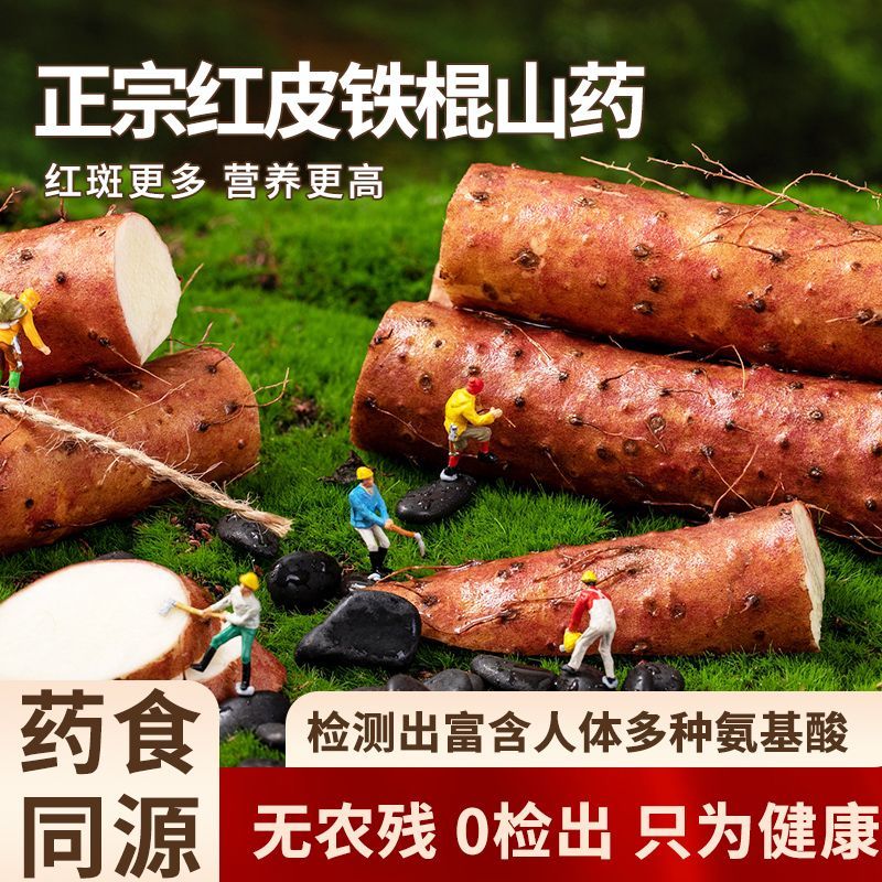 河南铁棍山药红皮铁棍粉糯香甜正宗垆土铁棍怀山药无农残药食同源