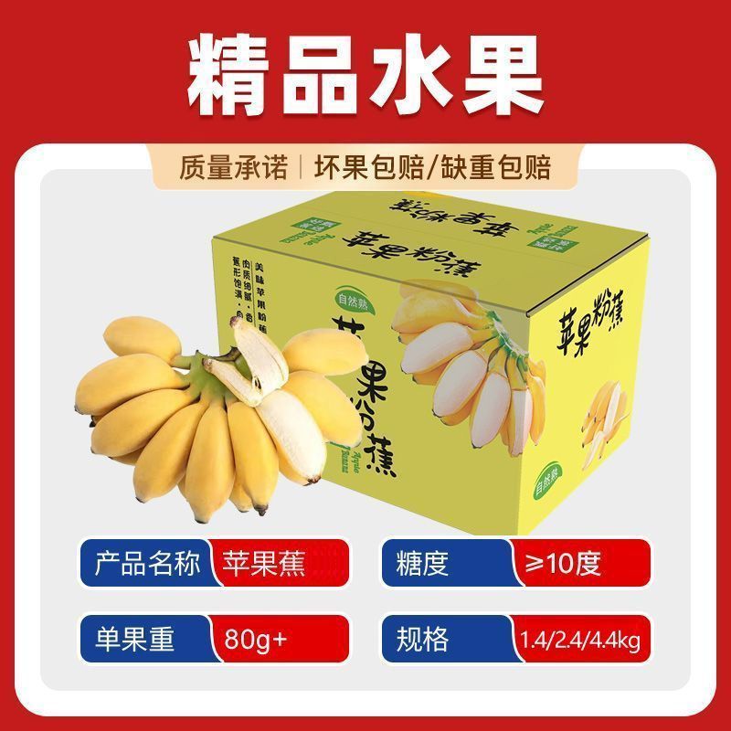 【商超品质】广西苹果蕉应季水果青蕉发货苹果粉蕉单果80g+当季