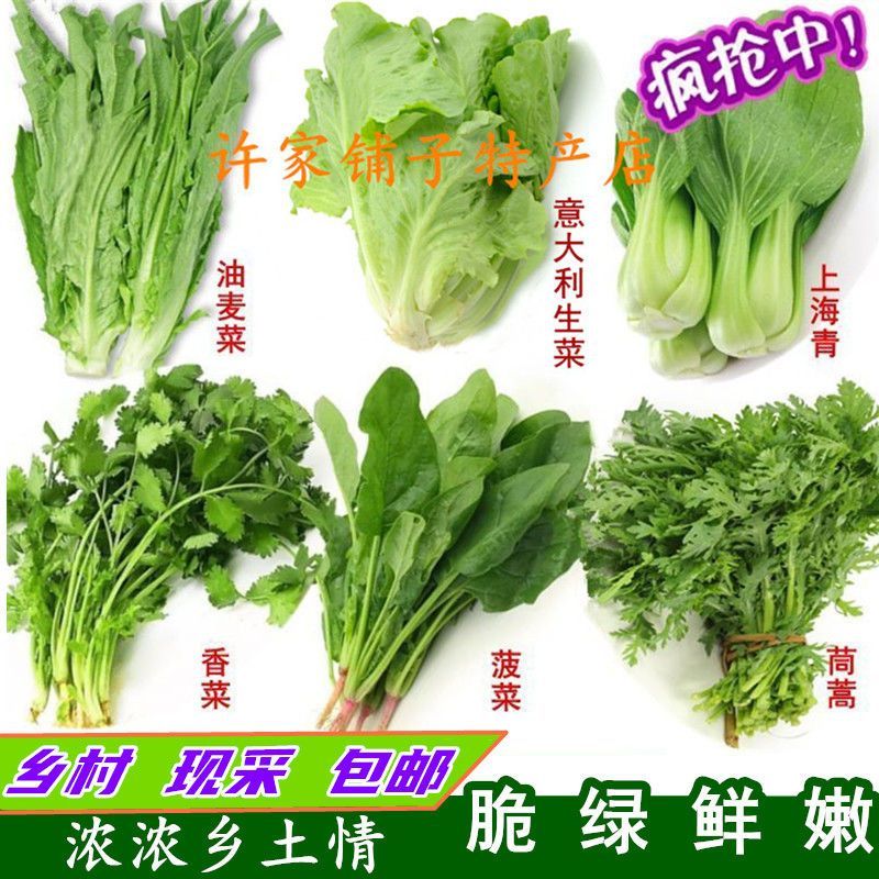 绿叶菜混搭组合新鲜生菜菠菜上海青油麦菜茼蒿菜香菜沙拉菜火锅菜