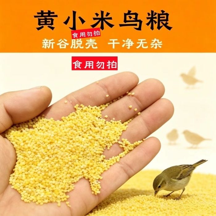 布施鸟食小米野外麻雀斑鸠投喂天然无壳谷物少草籽散装鸟粮批发