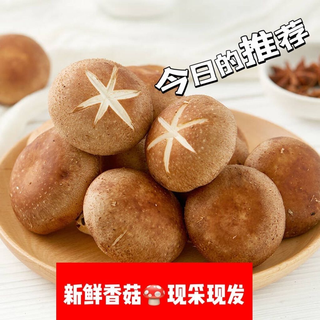 东北香菇新鲜香菇 菌菇类 便宜 无化肥 原生态 新鲜当季批发蔬菜