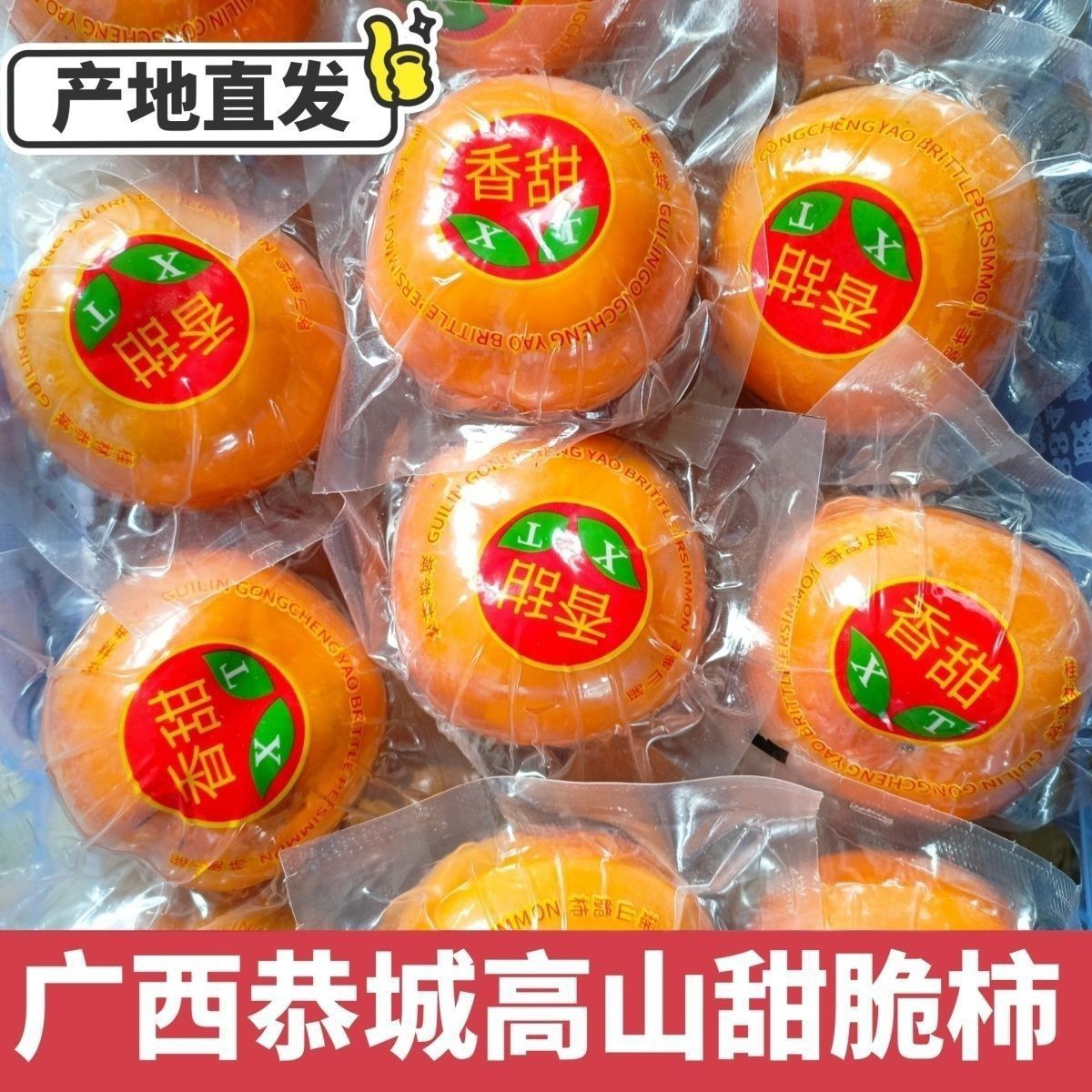 广西桂林恭城瑶乡甜脆柿糖心巧克力硬柿子独立真空包装脆柿子脆甜