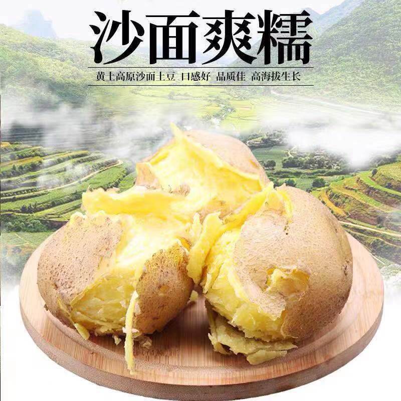 黄皮大土豆新鲜包邮农家自种特惠沙地黄心土豆应季蔬菜现挖马铃薯