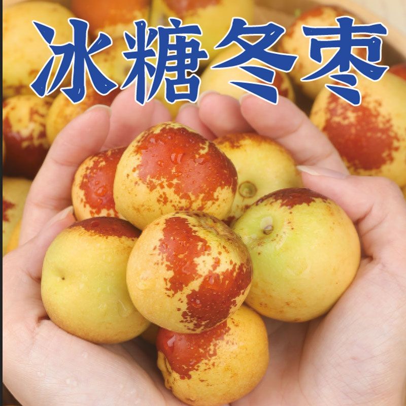【彩箱】正宗冰糖冬枣新鲜现摘脆甜多汁庙上应季水果山西冬枣整箱