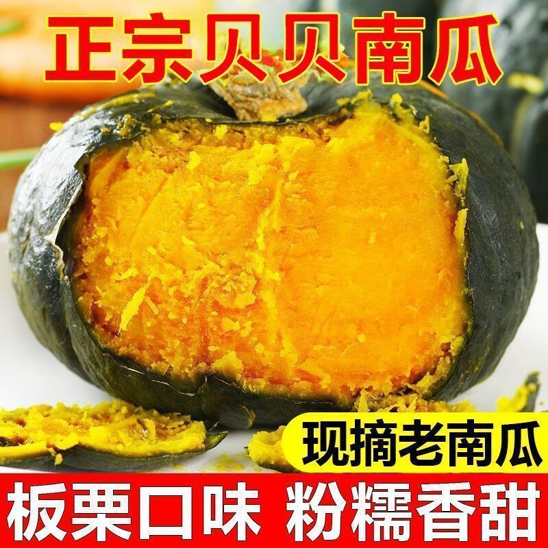 【5斤装】正宗贝贝南瓜板栗味带箱新鲜直发粉糯宝宝辅食老南瓜