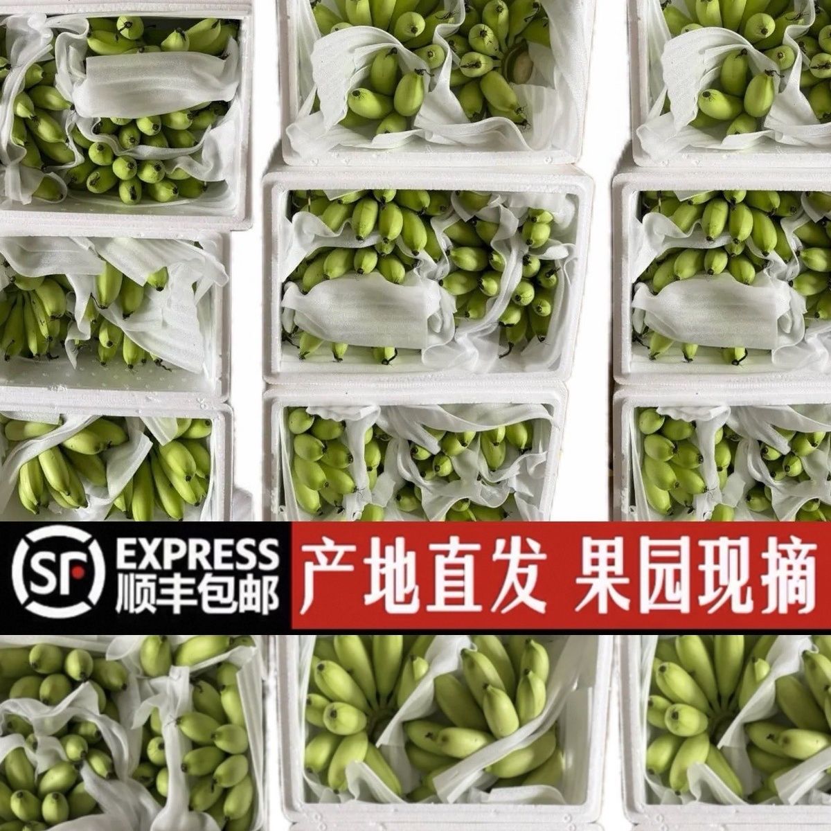 海南皇帝当季正宗特价花皮果薄皮新鲜发货香蕉应季自然独立包装