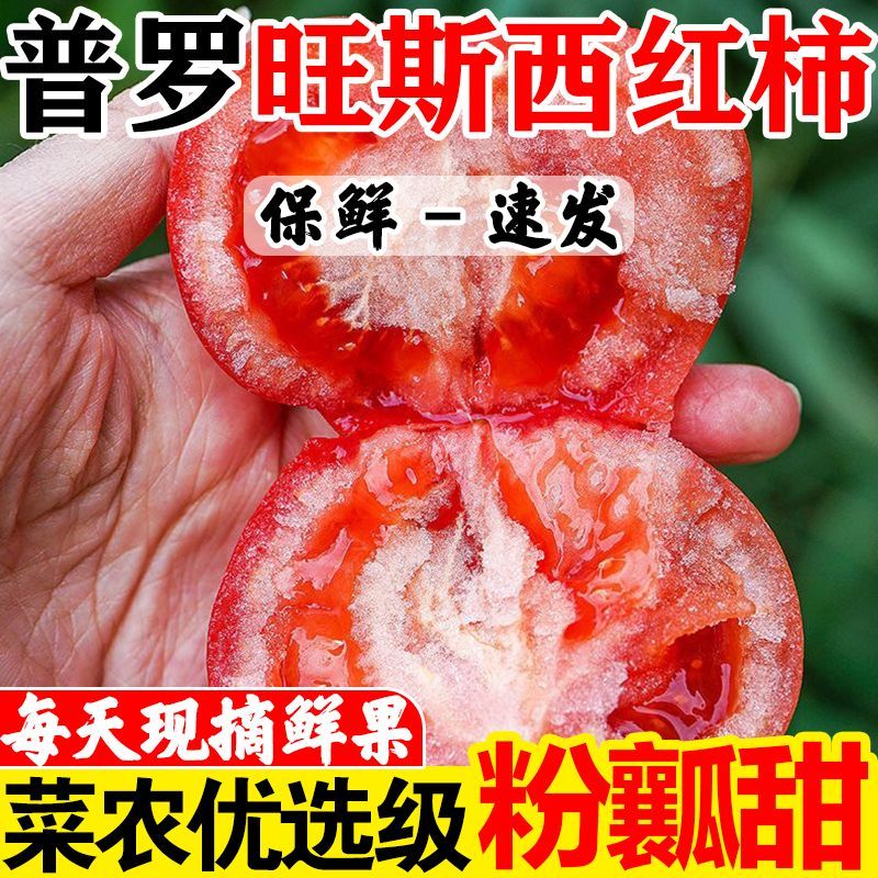 沙瓤普罗旺斯番茄生吃西红柿新鲜自然柿子现摘水果蔬菜批发
