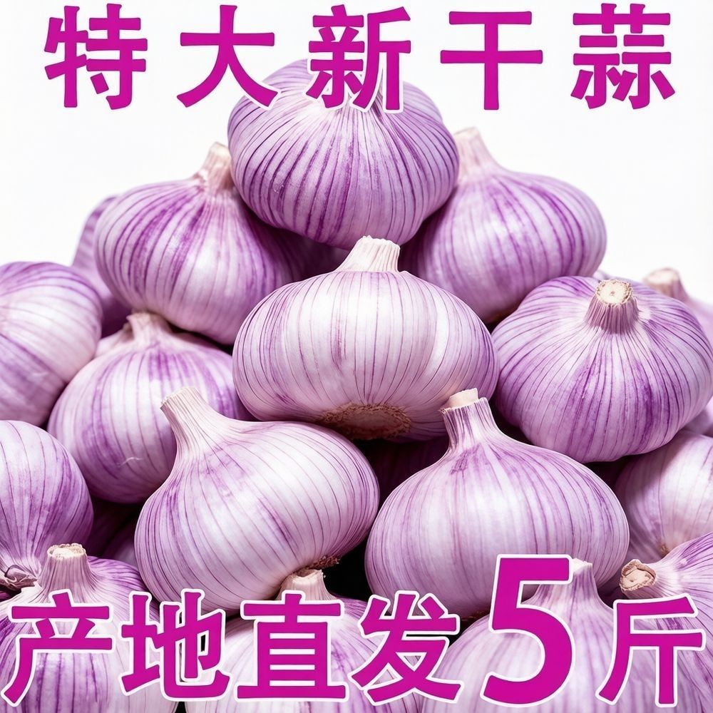 【特大干蒜】山东紫皮大蒜头新干蒜大蒜大蒜头批发整箱新鲜大蒜头