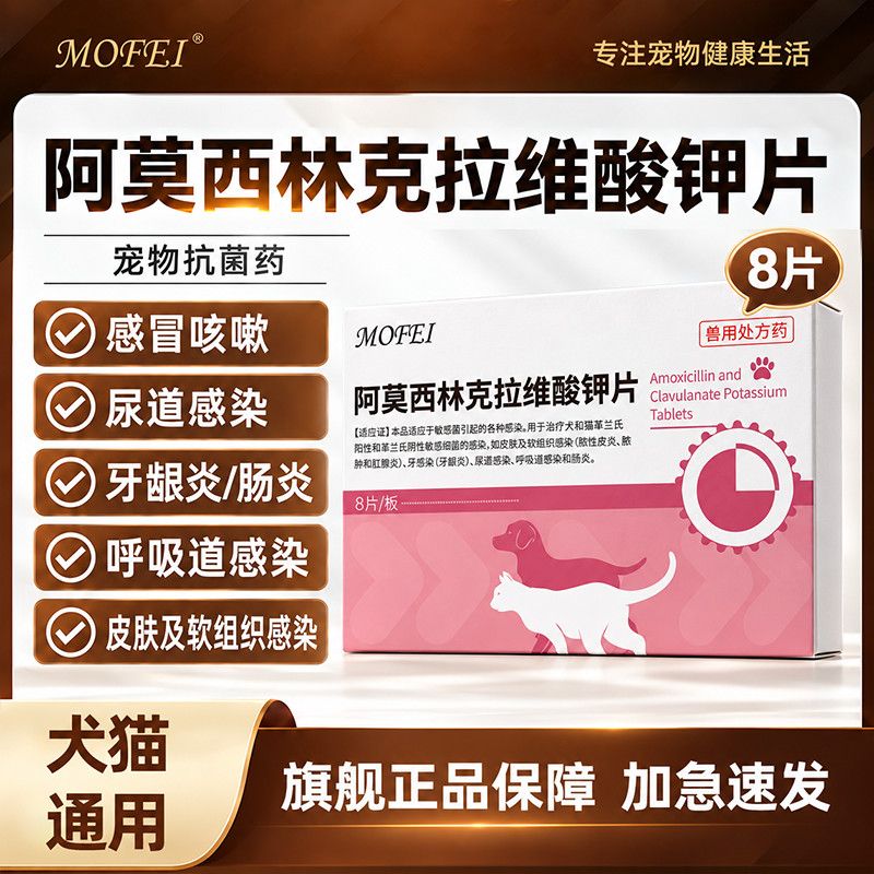 阿莫西林克拉维酸钾片宠物猫狗抗生素感冒细菌皮肤感染猫咪狗狗