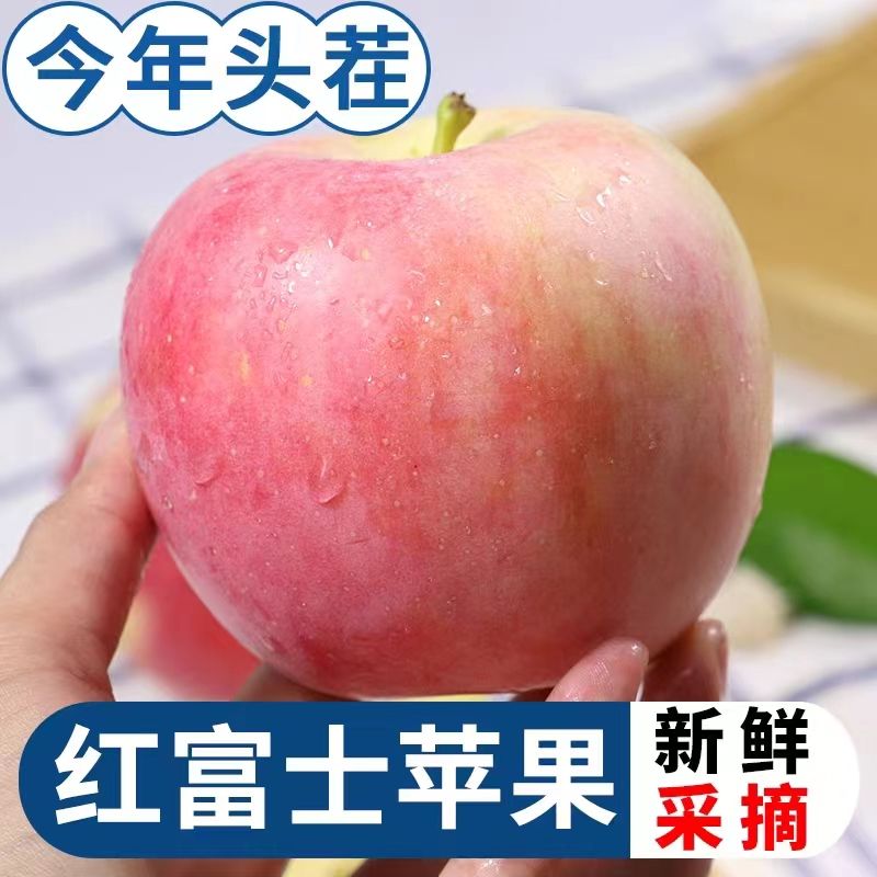 陕西红富士苹果丑苹果脆甜多汁现货整箱产地直发非洛川冰糖心