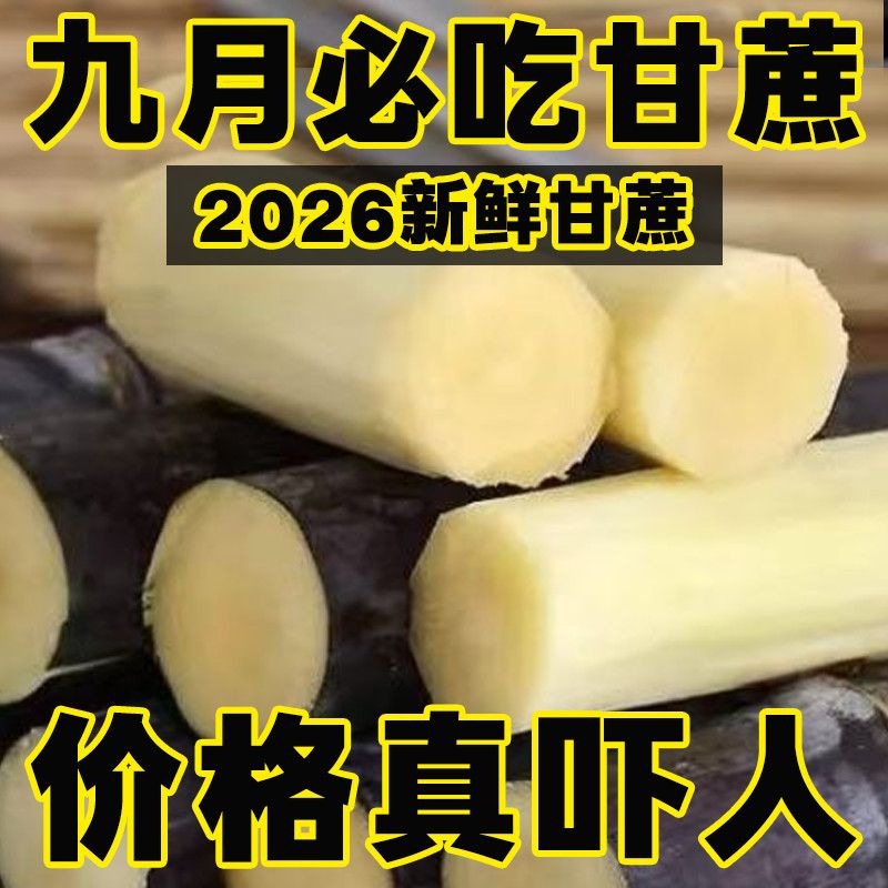 正宗广西黑皮应季甘蔗新鲜中段批发脆甜水果黑紫皮当季整箱多汁