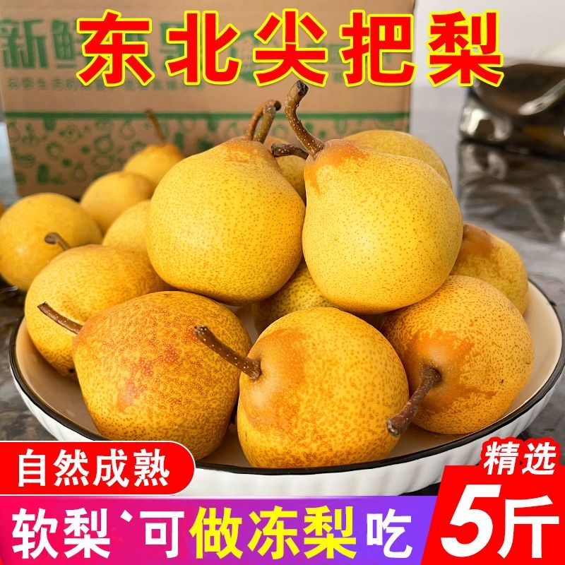 东北尖把梨鞍山特产秋子梨可做冻梨葫芦梨正宗尖把酸5斤包邮软梨