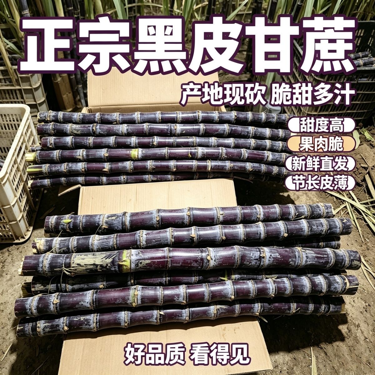 黑皮甘蔗新鲜现砍清甜中段薄皮小甜杆甘蔗砍断根带芽批发大根便宜