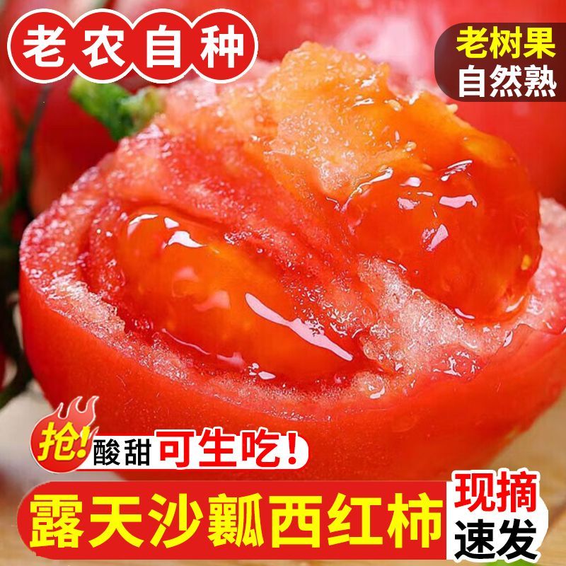 【彩箱装】沙瓤西红柿新鲜云南露天种植番茄大果粉柿子酸甜可生吃