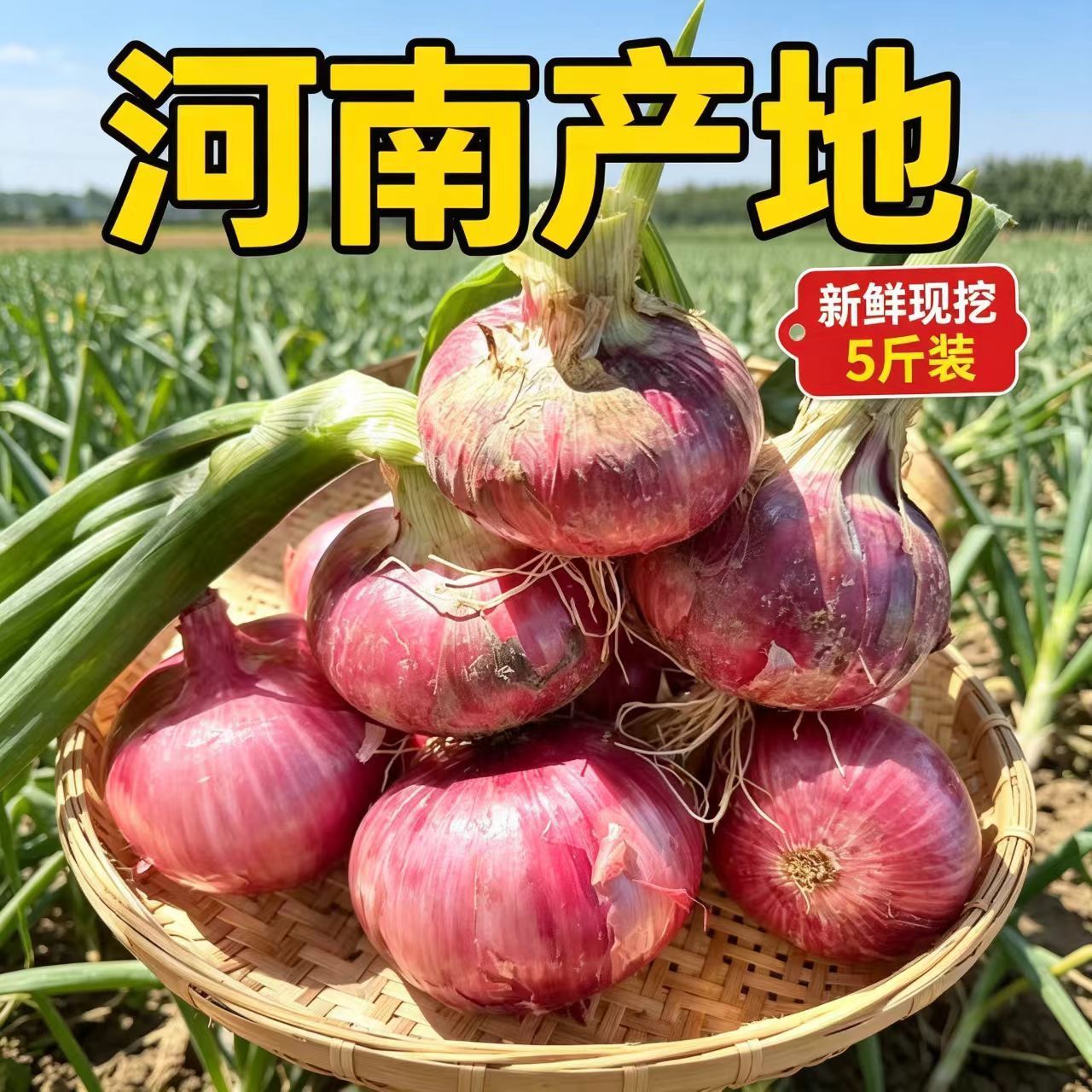 河南水果洋葱5斤装新鲜现挖皮二红扁葱生吃甜脆肉厚多汁自种蔬菜