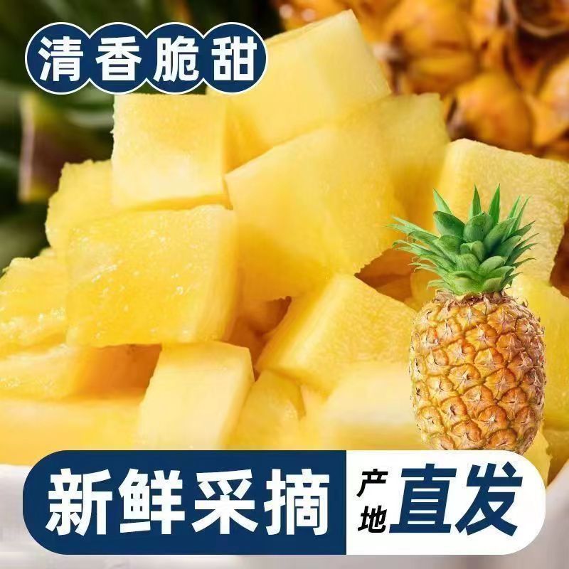 菠萝新鲜水果可吃可口多汁热带香脆当季水果产地整箱直发