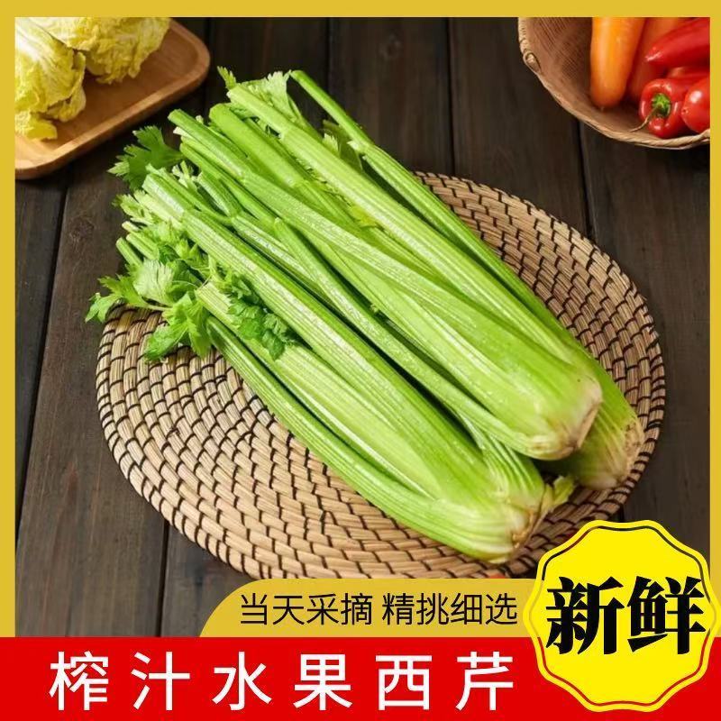【现割现发】寿光新鲜采摘西芹榨汁水果芹菜生吃自然熟农家种植