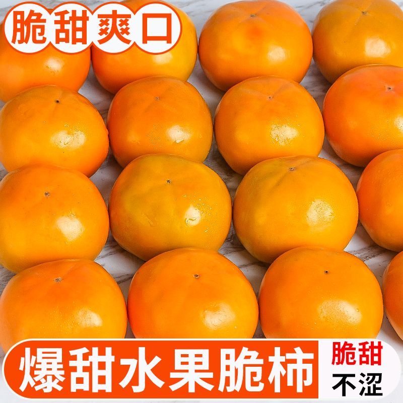 【御品一园】阳丰脆柿子巧克力新鲜水果应季整箱净重4.5斤单果110g起
