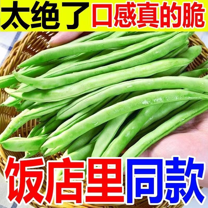 云南高山四季豆小金豆当季新鲜蔬菜无筋豆长豆角扁豆批发便宜蔬菜