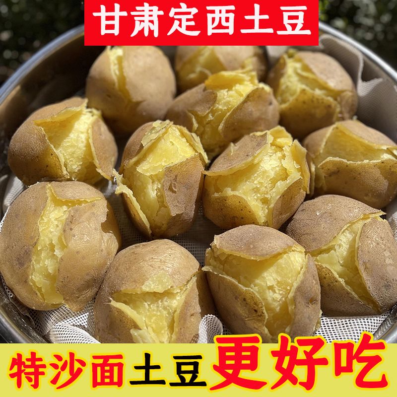 正宗定西土豆黄皮黄心沙地沙面粉糯新鲜2026甘肃现挖蔬菜整箱批发