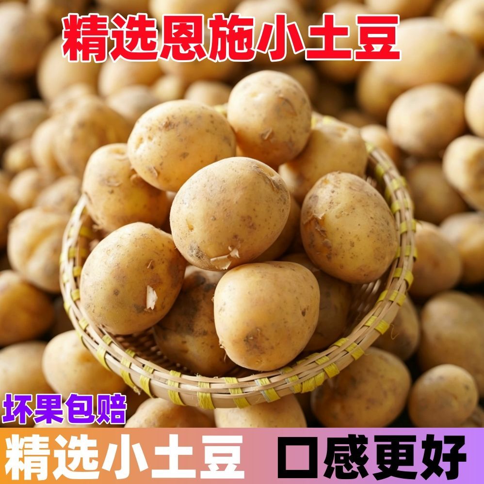 精选恩施小土豆黄皮黄心洋芋农家自种新鲜现挖马铃薯蔬菜粉糯香甜