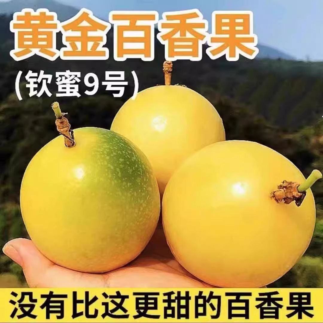 正宗海南钦蜜9号黄金百香果新鲜酸甜可口自然熟应季新鲜水果彩箱
