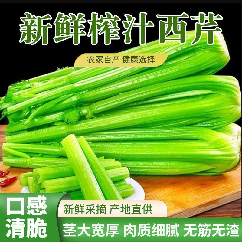 芹菜新鲜寿光水果西芹优质自种脆嫩榨汁西芹香芹农家芹菜便宜