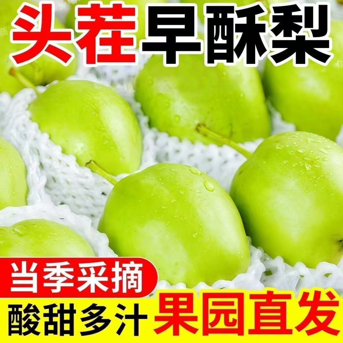 【产地直发】甘肃沙漠早酥梨青皮酥梨新鲜水果梨子脆甜多汁薄皮果