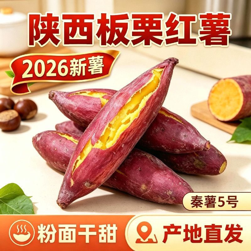 2026年陕西正宗虢王板栗红薯(秦薯5)沙地地瓜沙地板栗陕西板栗薯