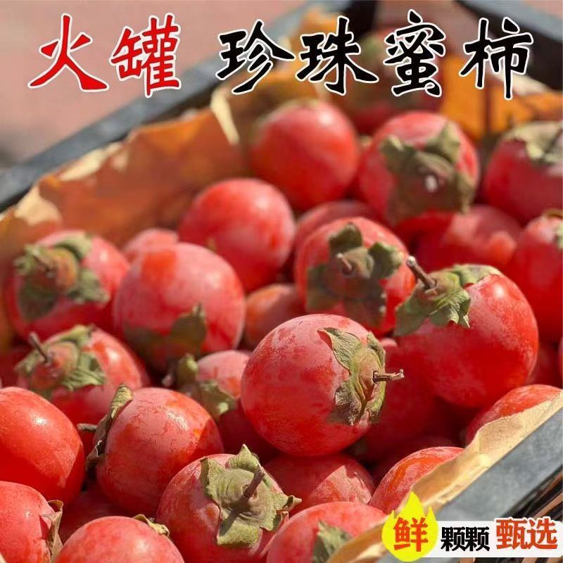 大果】流心火罐珍珠蜜柿一口火晶软柿子柿子无核迷你当季新鲜水果
