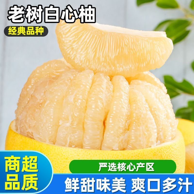 【彩箱】柚子福建平和白心蜜柚当季新鲜水果薄皮甜柚子白心柚子